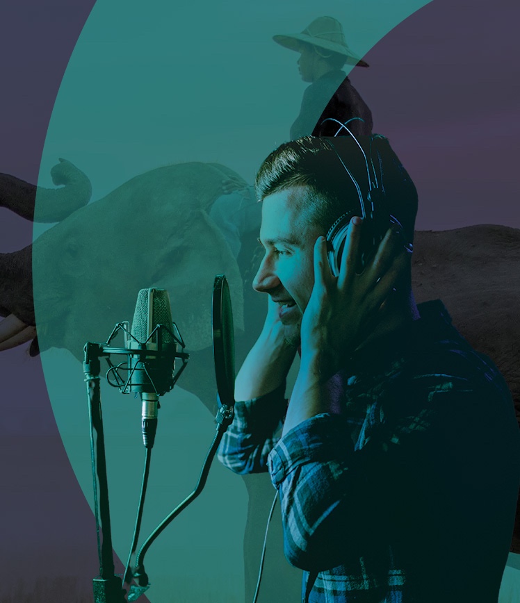 Documentary Voice Over